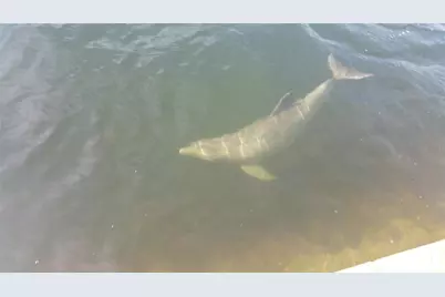 6009 Sea Ranch Drive #704, Hudson, FL 34667 - Photo 31