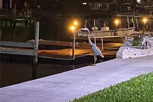 6009 Sea Ranch Dr, Hudson, FL 34667 - Photo 29