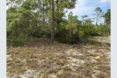 2923 W Pintado Drive, Citrus Springs, FL 34433 - Photo 3