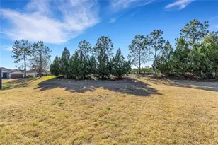 329 Alicante Ct, Davenport, FL 33837 - Photo 47