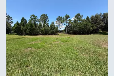 329 Alicante Court, Davenport, FL 33837 - Photo 9