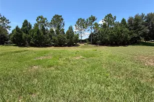 329 Alicante Ct, Davenport, FL 33837 - Photo 9