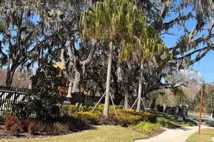 11381 Nona Sound St, Orlando, FL 32832 - Photo 27