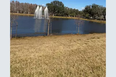 11381 Nona Sound Street, Orlando, FL 32832 - Photo 25