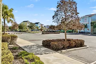 3052 Parrot Head Pl, Kissimmee, FL 34747 - Photo 53