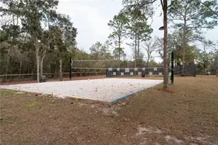 7670 NE 97th Ct, Bronson, FL 32621 - Photo 43