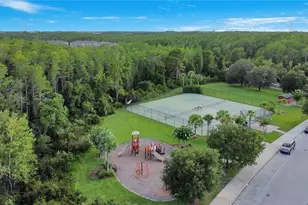 10825 Spider Lily Dr, Orlando, FL 32832 - Photo 13