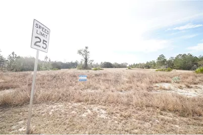 1319 Hillsborough Lane, Kissimmee, FL 34759 - Photo 9