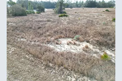 1319 Hillsborough Lane, Kissimmee, FL 34759 - Photo 1