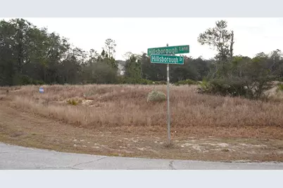 1319 Hillsborough Lane, Kissimmee, FL 34759 - Photo 11