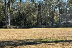 10379 NE Hwy 314, Silver Springs, FL 34488 - Photo 5