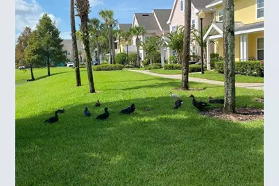 5006 Mangrove Alley #201, Kissimmee, FL 34746 - Photo 23