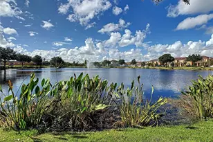 9126 Savannah Grove Ln, Orlando, FL 32832 - Photo 11