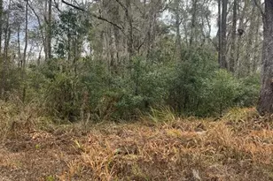 519 Ward Ave, Brooksville, FL 34601 - Photo 1