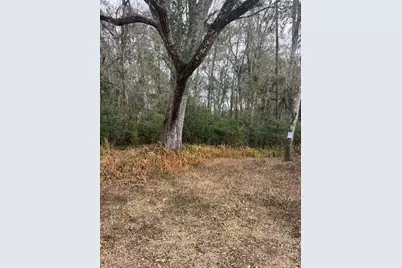 519 Ward Avenue, Brooksville, FL 34601 - Photo 3