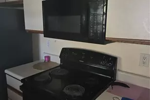 1211 Sago Palm Blvd, Kissimmee, FL 34741 - Photo 13