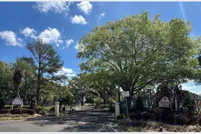 8019 N Madeira Court, Orlando, FL 32836 - Photo 53