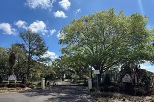 8019 N Madeira Ct, Orlando, FL 32836 - Photo 53
