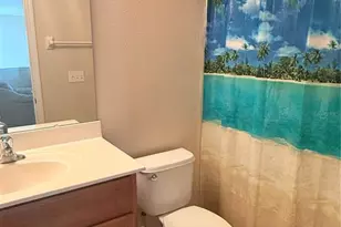 2219 Pico Ln, Mount Dora, FL 32757 - Photo 17