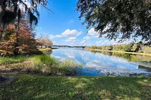 10801 Spider Lily Dr, Orlando, FL 32832 - Photo 35