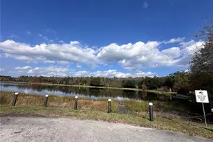 10801 Spider Lily Dr, Orlando, FL 32832 - Photo 33