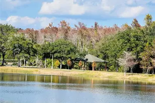 10801 Spider Lily Dr, Orlando, FL 32832 - Photo 39