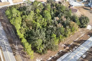 Tbd Walnut St, Kissimmee, FL 34759 - Photo 1