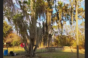 4325 Henry J Ave, Saint Cloud, FL 34772 - Photo 7