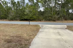 1720 Cassidy Dr, Saint Cloud, FL 34771 - Photo 39