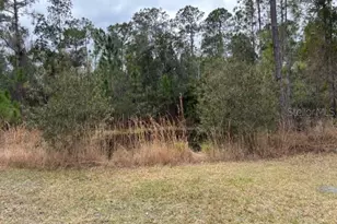 1720 Cassidy Dr, Saint Cloud, FL 34771 - Photo 37