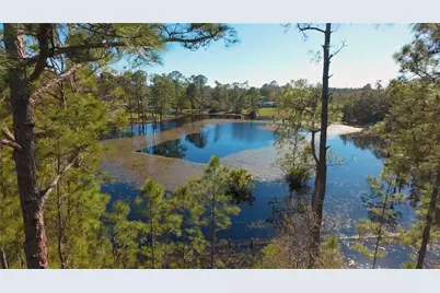 32325 State Road 44, Eustis, FL 32736 - Photo 5