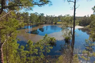 32325 State Road 44, Eustis, FL 32736 - Photo 5