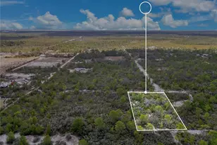 4000 Lomonico Rd, Sebring, FL 33875 - Photo 15