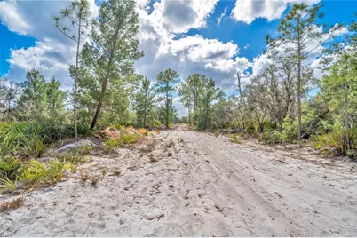 4000 Lomonico Road, Sebring, FL 33875 - Photo 7