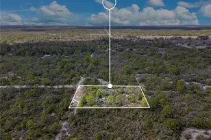 4000 Lomonico Rd, Sebring, FL 33875 - Photo 19