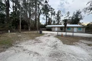 211 NW Hwy 441, Micanopy, FL 32667 - Photo 9