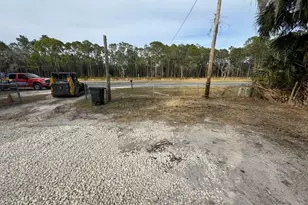 211 NW Hwy 441, Micanopy, FL 32667 - Photo 3