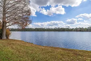 9484 Walnut Crest Dr, Orlando, FL 32832 - Photo 61