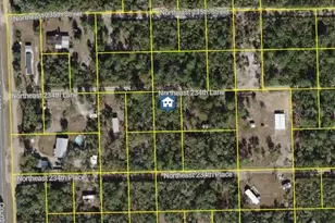 15350 NE 234th Ln, Fort Mc Coy, FL 32134 - Photo 1