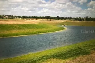 9035 Carlotta Wy, Kissimmee, FL 34747 - Photo 17