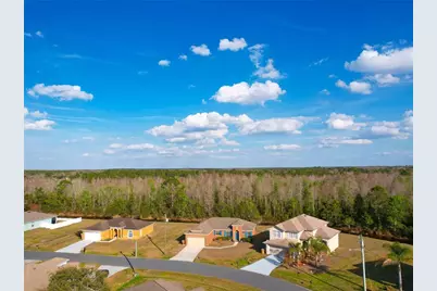 735 Palaiseau Ct, Kissimmee, FL 34759 - Photo 31