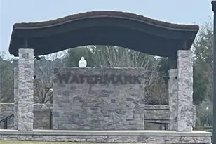 9743 Amber Chestnut Wy, Winter Garden, FL 34787 - Photo 35