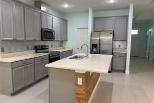 9743 Amber Chestnut Wy, Winter Garden, FL 34787 - Photo 9