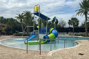 9743 Amber Chestnut Wy, Winter Garden, FL 34787 - Photo 31