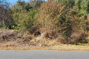 362 Colonade Ct, Kissimmee, FL 34758 - Photo 1