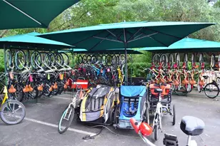 1129 Mosaic Dr, Celebration, FL 34747 - Photo 45