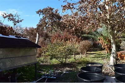 7901 N Cherry Lake Groves Road, Groveland, FL 34736 - Photo 21