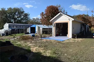 7901 N Cherry Lake Groves Rd, Groveland, FL 34736 - Photo 17