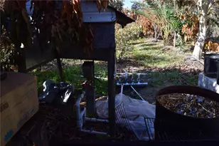 7901 N Cherry Lake Groves Rd, Groveland, FL 34736 - Photo 23