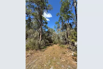 South Shore Dr, Lake Wales, FL 33898 - Photo 7